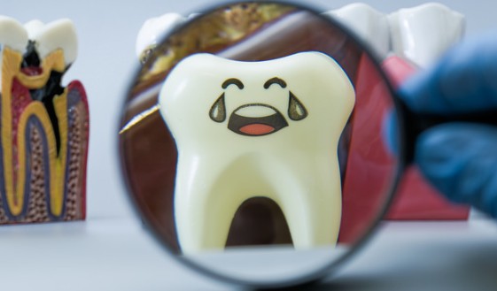 Tooth Decay in Young Children