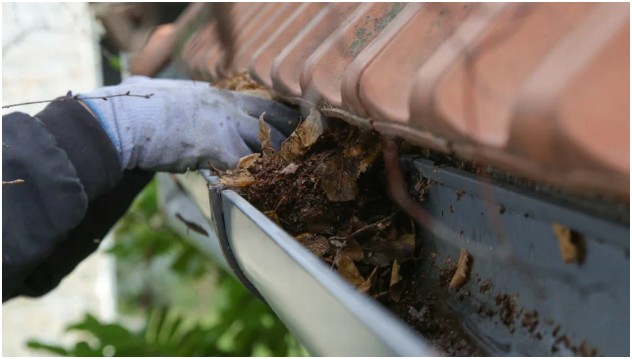 Clean the Gutters and Check the Roof