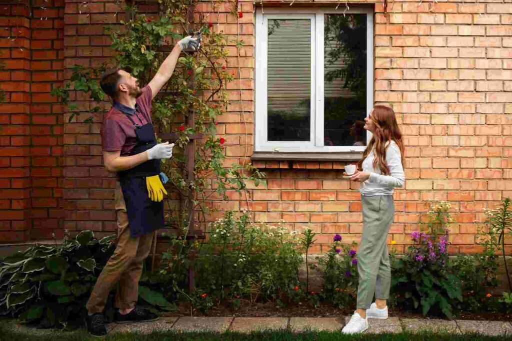 Seasonal Maintenance Strategies